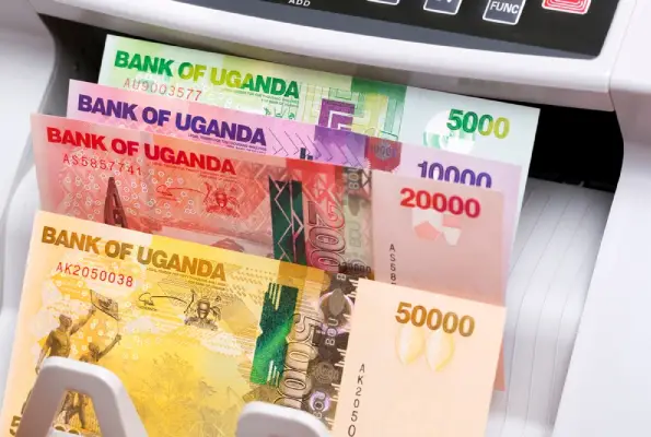 Financial data screens